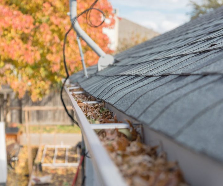 Leaf-filled rain gutter that could prevent rain from draining to the downspout